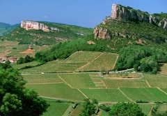 Roche de Solutré and Vergisson