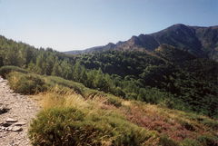 Mont Aigoual in a Loop