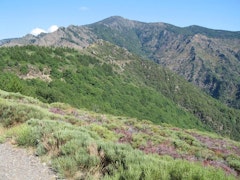 Mont Aigoual