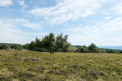 Colporteur des Jasseries