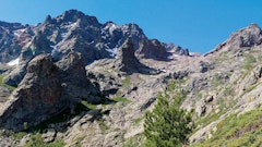 Capu Borba