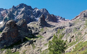 Capu Borba