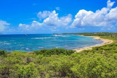 Pointe à Cabrits