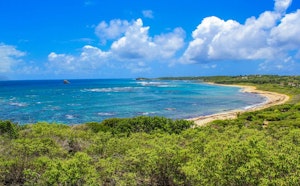 Pointe à Cabrits