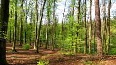 Around Villers-Cotterêts