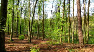 Autour de Villers-Cotterêts