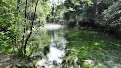 Source of the Durzon