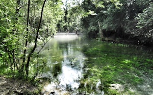 Source of the Durzon