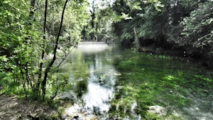 Source of the Durzon