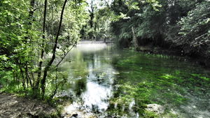 Source of the Durzon