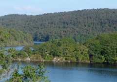 Fôret de Quénécan