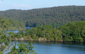 Fôret de Quénécan