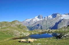 Lakes of Plateau d'Emparis
