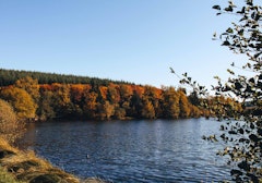 Tour of Lac de Saint-Agnan