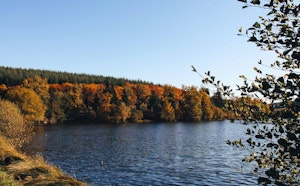 Tour of Lac de Saint-Agnan
