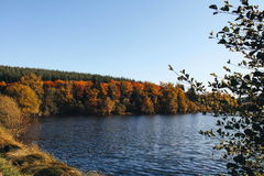 Tour of Lac de Saint-Agnan