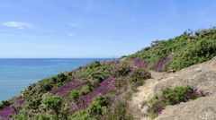 Pointe de Penquernéo