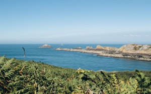 From Pointe du Grouin to Plage du Guesclin