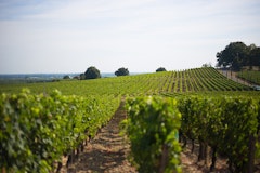 Around Fronsac