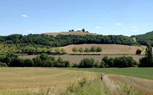 Coteaux d'Arcagnac
