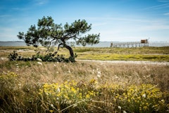 Around Port du Collet