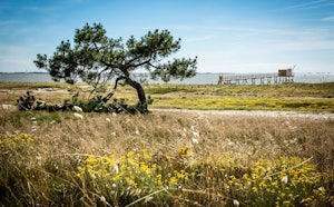 Around Port du Collet