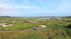Sentier du Gros Banc