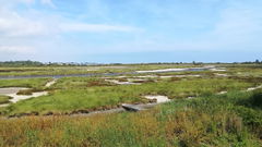 Sentier du Gros Banc