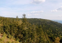 Roches d'Ormont and Cascade des Molières