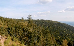 Roches d'Ormont and Cascade des Molières