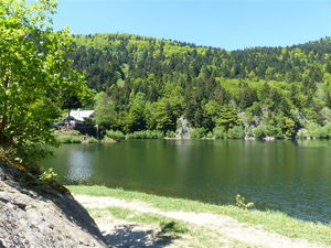 Lacs Neuweiher et Gresson