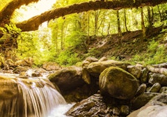 Gorges du Chauderon