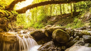 Gorges du Chauderon