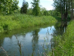 Banks of the Iton from Gouville