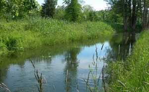 Banks of the Iton from Gouville