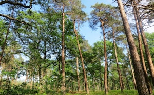 Sentier des Sources