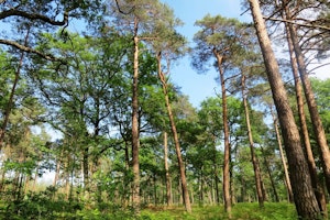 Sentier des Sources