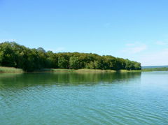 Lac de Madine