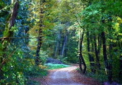Bois de Thionville