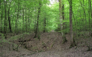 Circuit des Gouffres de Trois-Fontaines