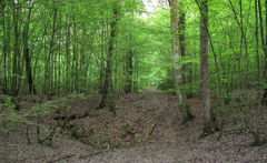 Circuit des Gouffres de Trois-Fontaines