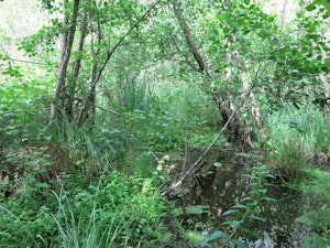 Marais du Négando