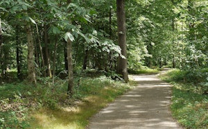 From Émerainville to Ozoir-la-Ferrière