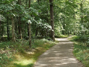 D'Émerainville à Ozoir-la-Ferrière