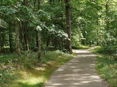 From Émerainville to Ozoir-la-Ferrière