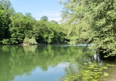 Banks of the Marne