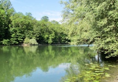 Banks of the Marne