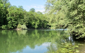 Banks of the Marne