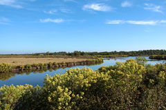 Domaine de Certes et Graveyron
