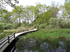 Étang des Landes